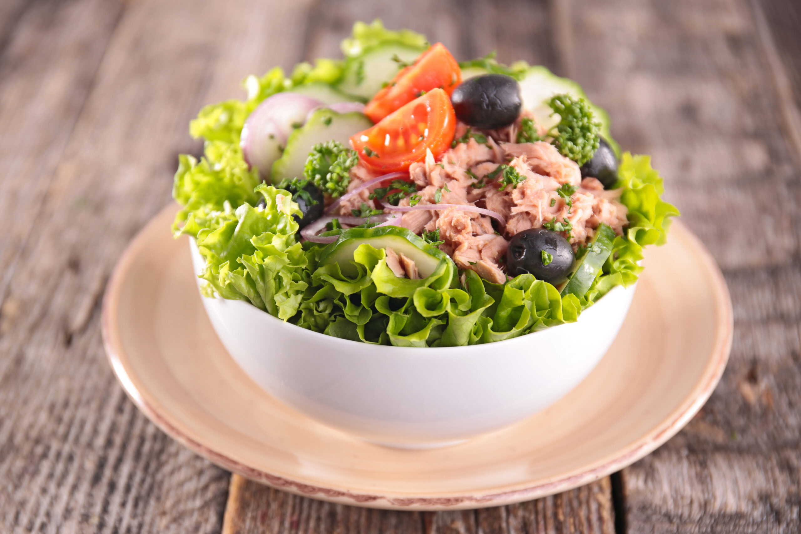 Tuna Salad on a plate.
